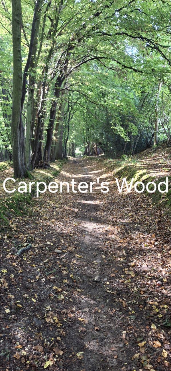 Carpenters Wood